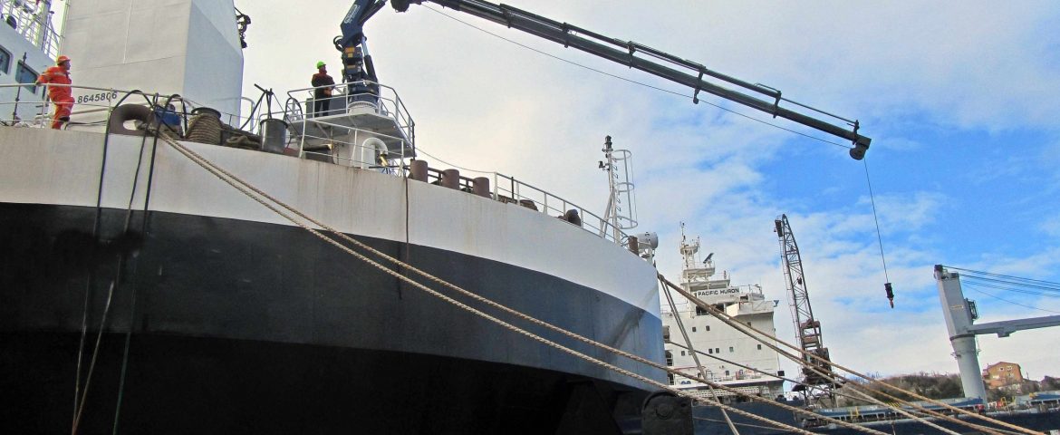 Ugradnja Palfinger Marine dizalice