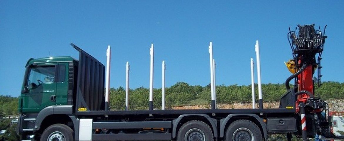 Šumarska nadogradnja s Palfinger Epsilon dizalicom S260Z za Man Importer – Quercus